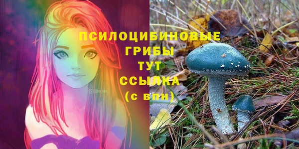 марки lsd Алексин
