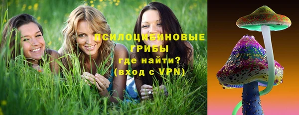 бутират Алексеевка