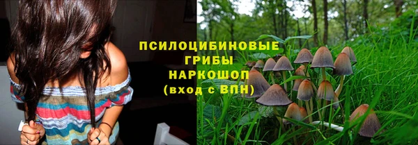 apvp Нея
