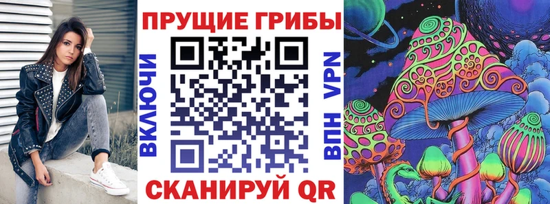 Псилоцибиновые грибы Cubensis  цена наркотик  Лениногорск 