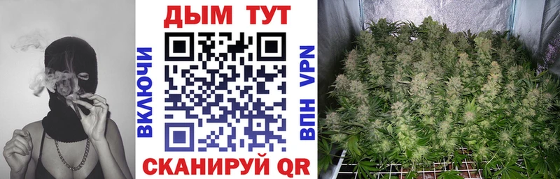 Бошки марихуана THC 21%  хочу наркоту  Лениногорск 